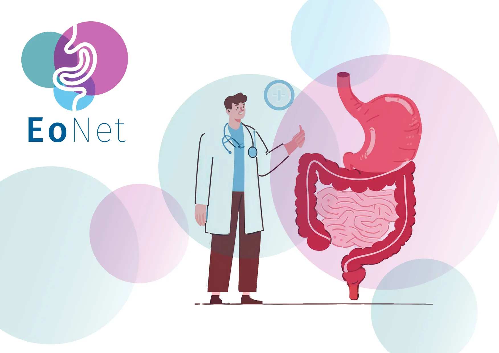 Corporate Design und Website-Relaunch Mein Allergie Portal Gesundheitsbranche