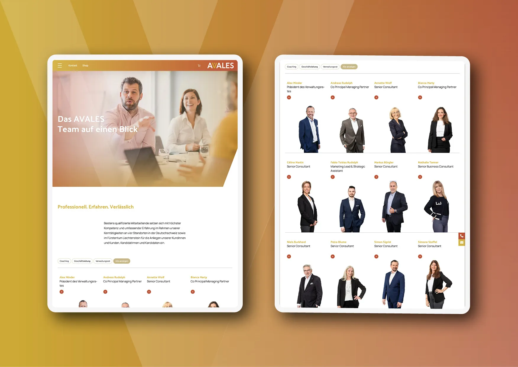 Webdesign-Relaunch-AVALES-Online-Shop-Coaching-010 AVALES – Nutzerorientierter Webdesign-Relaunch mit innovativem Coaching-Shop