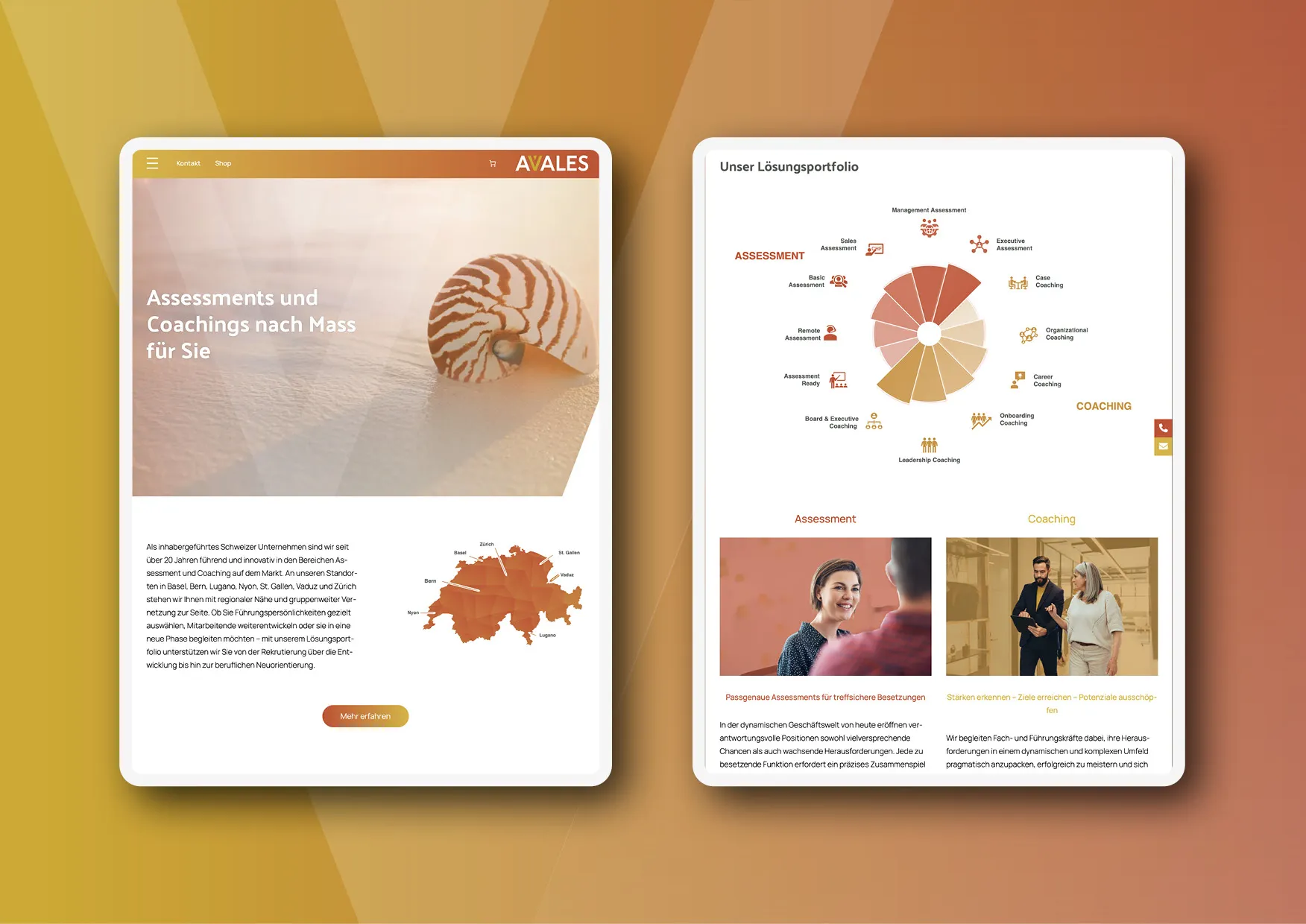 Webdesign-Relaunch-AVALES-Online-Shop-Coaching-02 AVALES – Nutzerorientierter Webdesign-Relaunch mit innovativem Coaching-Shop